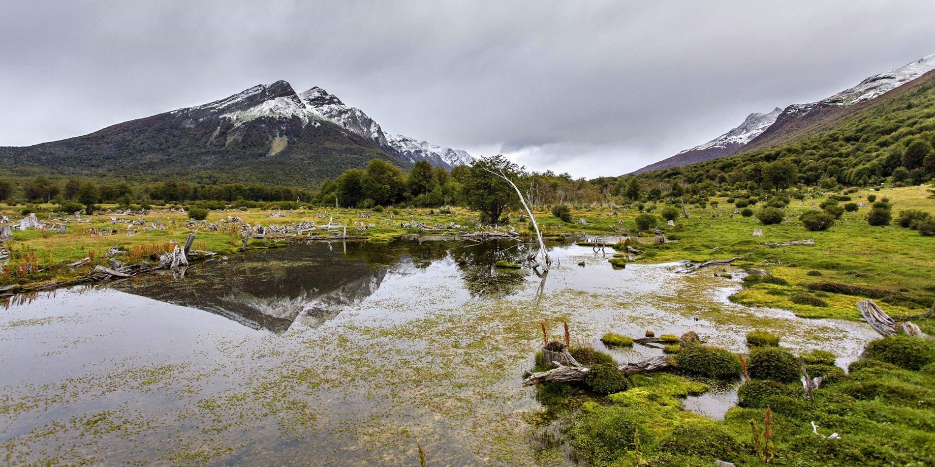 A body of water with a mountain in the background